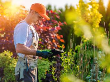Pacific Crest Landscaping 