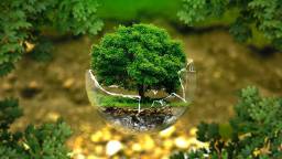 Pacific Crest Landscaping Environmental