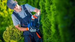 Pacific Crest Landscaping Maintenance